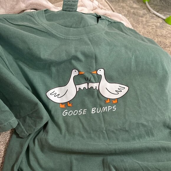 Goose Bumps Shirt - Silly Goose T-Shirt - Picture 1 of 3